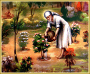 Saibaba ploughed up the village common land and raised a flower garden thereon; he watered the plants, carrying pots full of water on his shoulders. In the later years he spent a few hours in this Lendi garden, which he himself had laid out in the early days