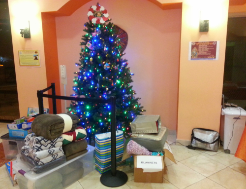 SSP Toy & Blanket Drive Dec 2013