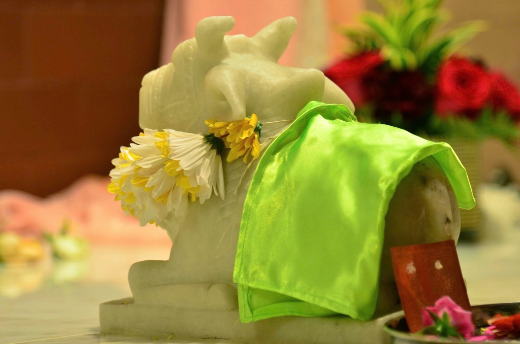 Mahasamadhi_2014_45