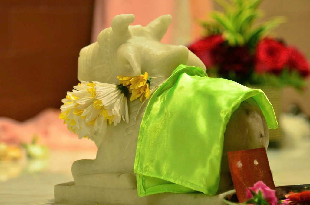 Mahasamadhi_2014_46