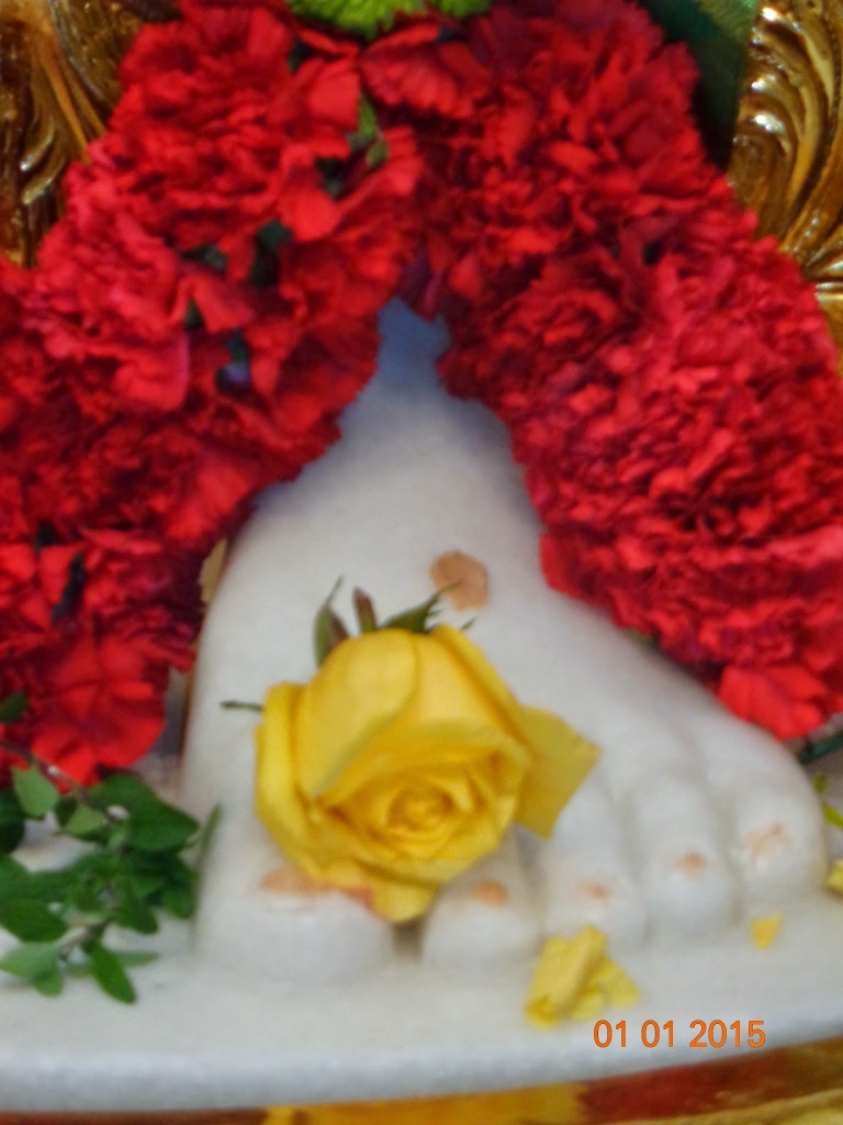 BABA on January 1st, 2015 062