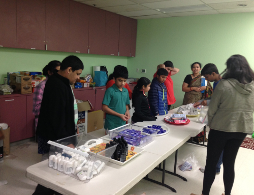 2017 Health Care Package Seva (for special needs children)